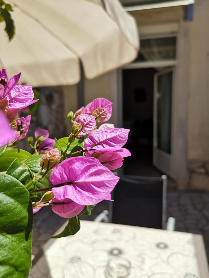 Apartments Centurio PUY מראה חיצוני תמונה